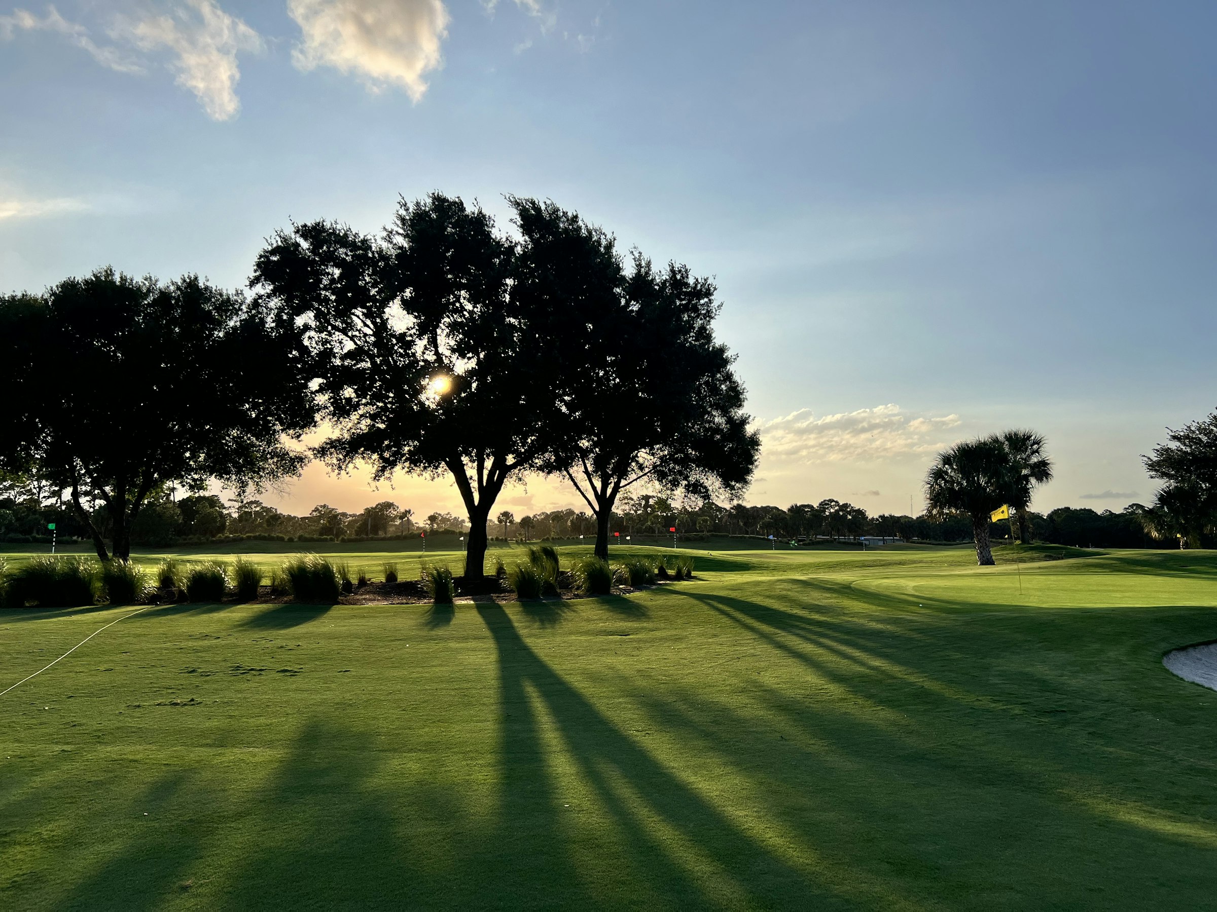 A Pelican Pointe fairway at golden hour, framed by live oaks and a Florida palm