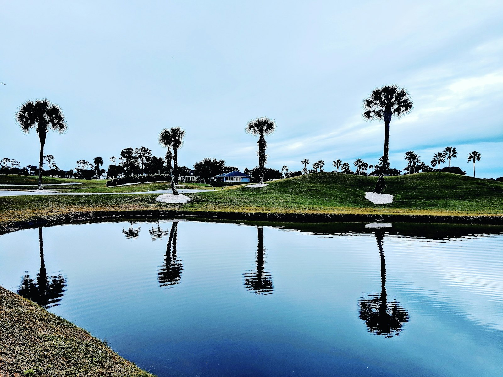 Palms reflected in a still lake on the course